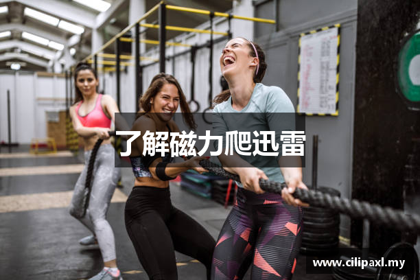 了解磁力爬迅雷